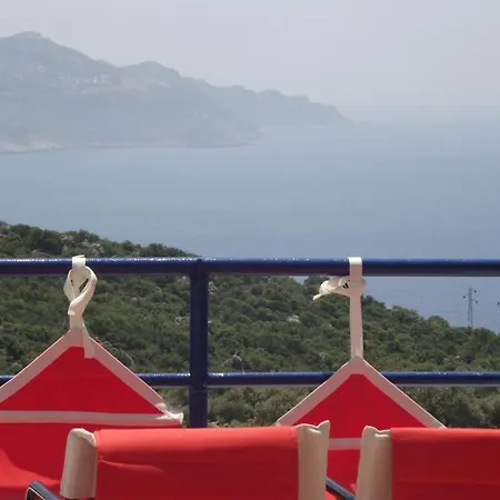 Miramar Guest house 4*