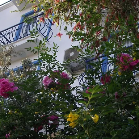 Miramar Guest house 4*