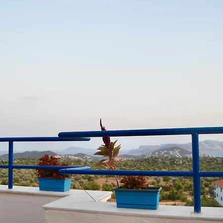 Guest house Miramar 4*