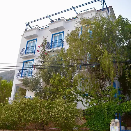 Guest house Miramar 4*